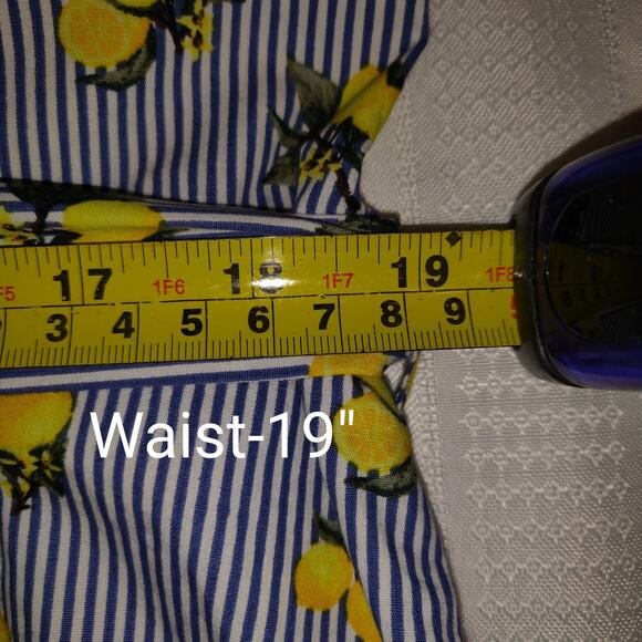 Chloe & Rene Blue Pinstripe Sleeveless Shirt Dress XL Lemon Print Cotton Belted - Picture 16 of 16